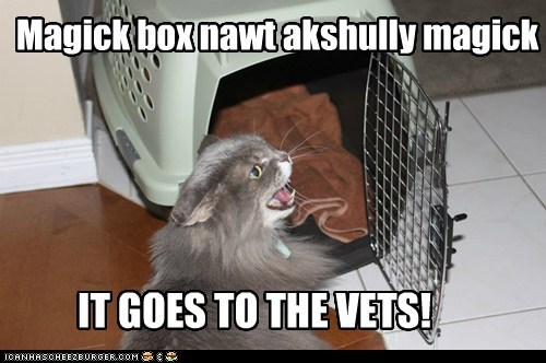 Picture of cat carrier with angry meowing cat and caption in purposely misspelled English that reads, "Magick box nawt akshully magick IT GOES TO THE VETS"